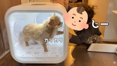 やっぱりハナちゃんが心配…