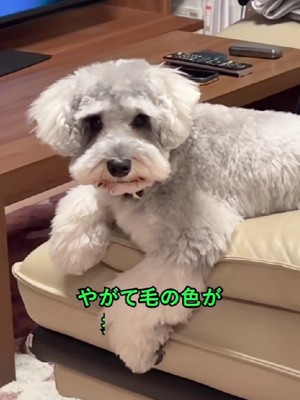 ？？