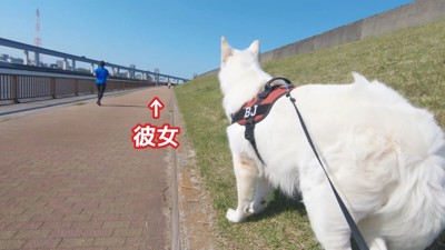 BJくんが彼女さんに気づくか検証3