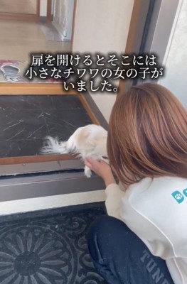 玄関で出迎える犬
