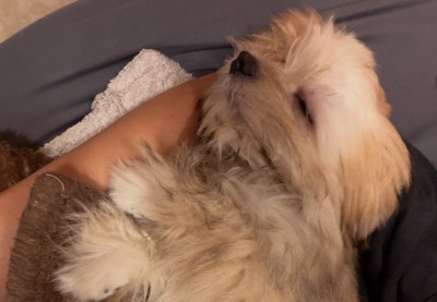 腕枕で眠るのがお気に入り