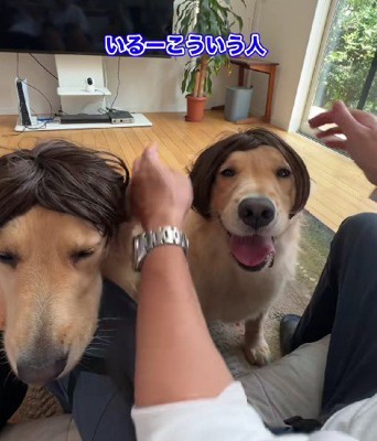 こういう人いそう…