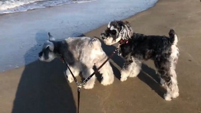 海にやってきました♪