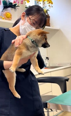 優しいスタッフさん