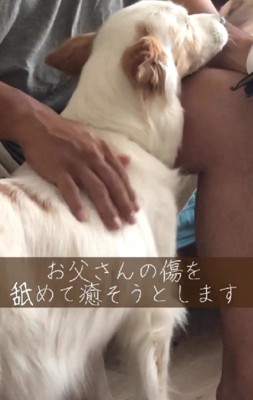 家族の癒しの存在だった