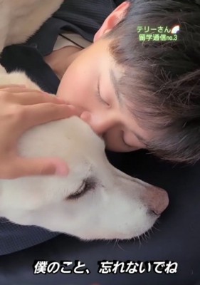 男の子に抱きしめられながら眠る犬