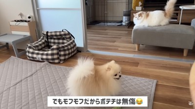 「怒られちゃった～…」