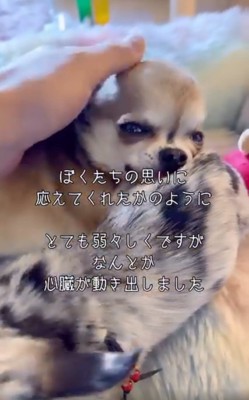 玲音くんと風音ちゃん5