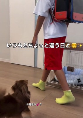 お見送りするアムくん