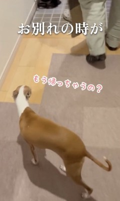 楽しい時間はあっという間