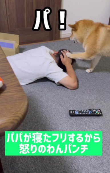 パパにパンチをお見舞い