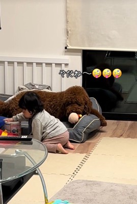 きんとん君VS男の子5