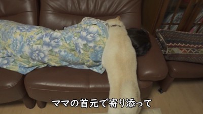 首元にぴとっ♡