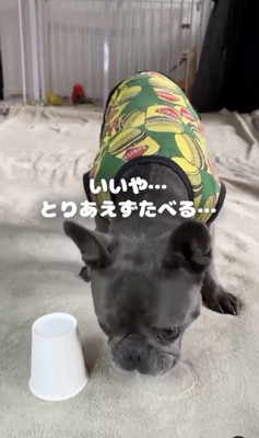 ひとまず食べる