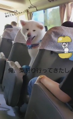 マイクロバスに乗ったよ♪