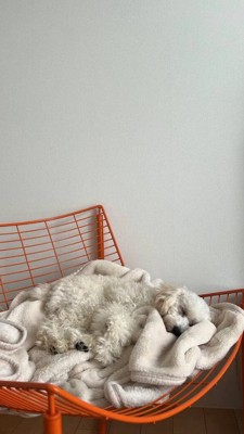 毛布に包まれて眠る犬