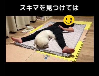 隙間を見つけては…