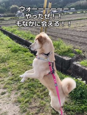 喜ぶ投稿主さん