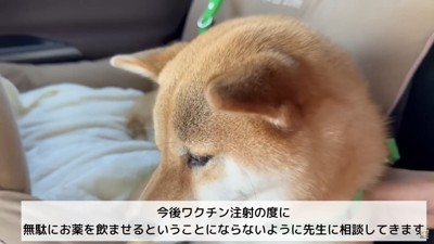 苦手な動物病院へ