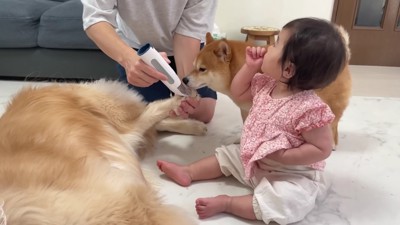 みんな興味津々♪