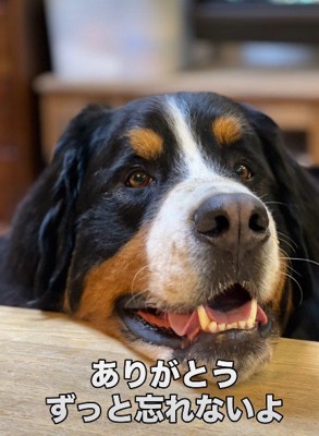たくさんの愛をありがとう