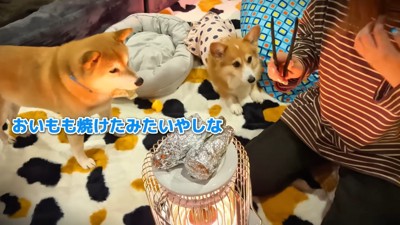 焼き芋ができました！