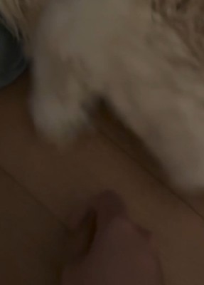 手を振りほどくかまぼこちゃん