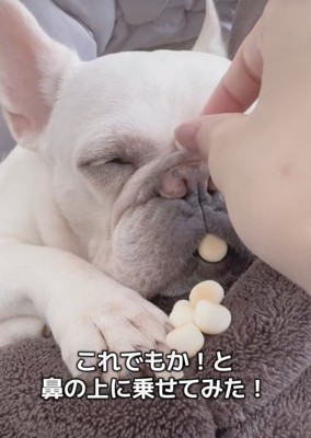 どんどん作戦が大胆に