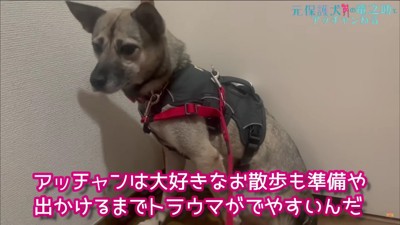 トラウマが出てしまう…
