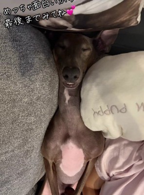 寝姿も独特！？