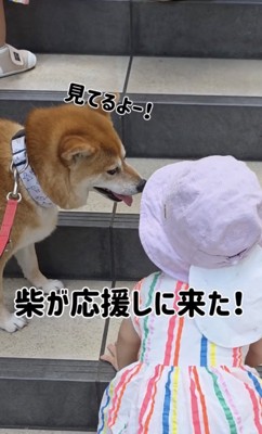 優しいお姉ちゃん