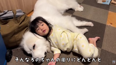 シュシュちゃんに甘えていると…