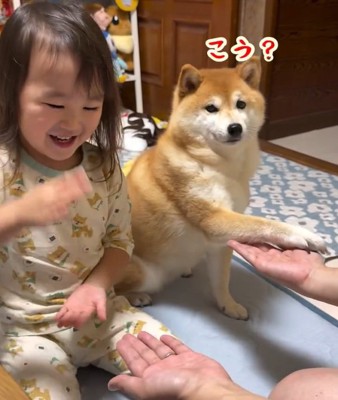 前足を手のひらに置くすずちゃん