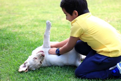 仰向けの犬と子供