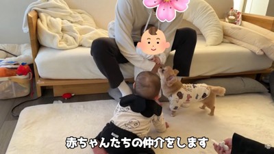 ハナちゃんと赤ちゃんたちの交流8