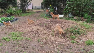 わらわらと集まった先にいたのは…