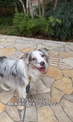 お店に案内してくれるルークくん