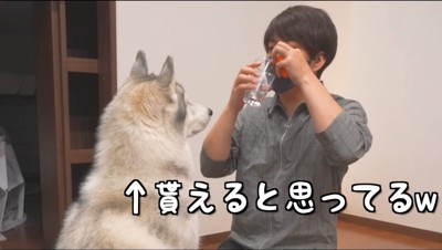 コップに入った水を飲む男性を見つめる犬