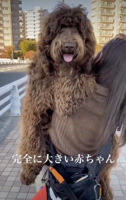 幸せそうなおじゃる丸くん