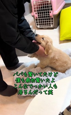 無邪気なかんくろう君