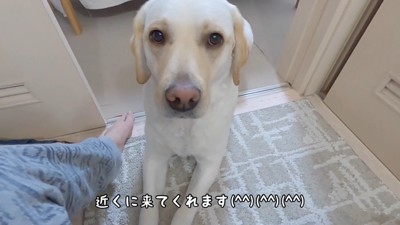 やっぱり来た！