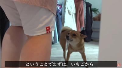 いちごちゃんからお風呂場へ