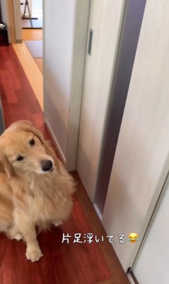 サンちゃんの熱烈歓迎3