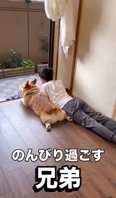 同じポーズで寝そべる男の子と犬