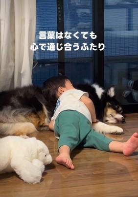 レアちゃんを枕にしてスヤスヤ