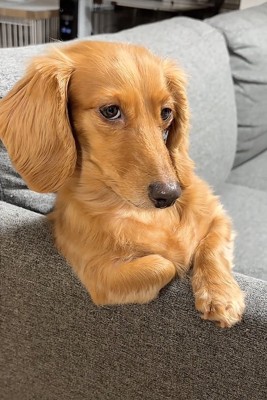 チラ見する凪ちゃん