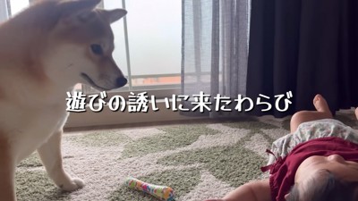 「一緒に遊ぼう～」