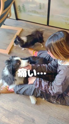 横になりながら女性の顔を見上げる犬