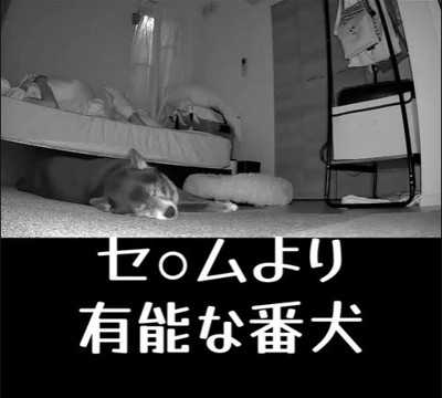 寝返りを打った時のミーシャちゃんの反応