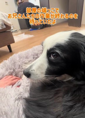 「まだかな…？」